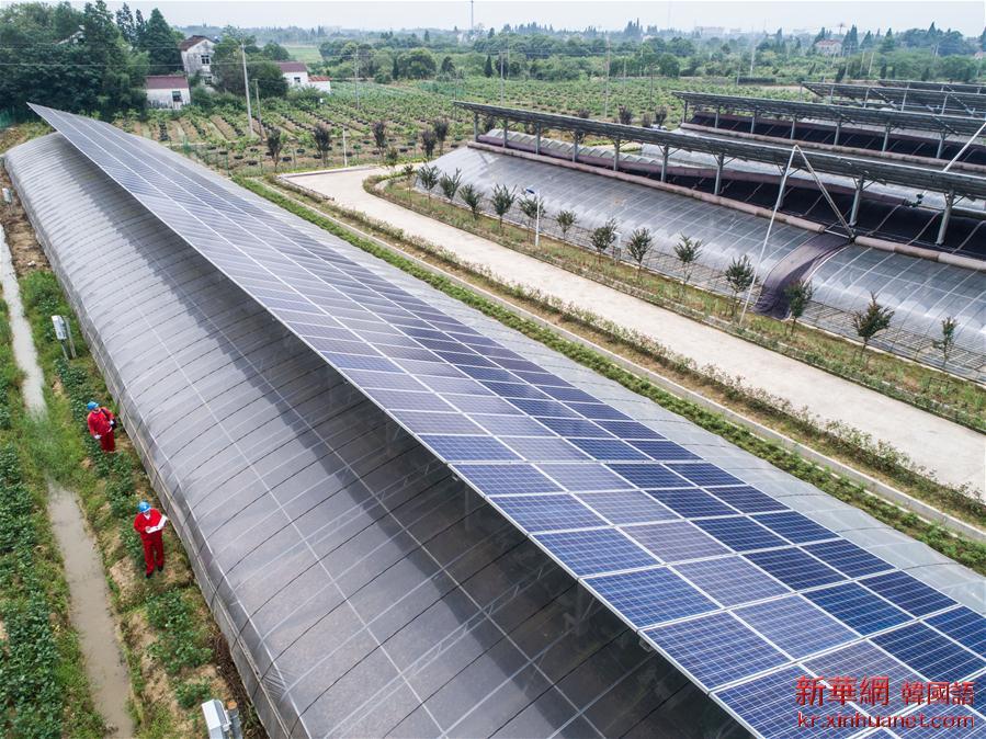 （经济）（3）浙江长兴：“一地两用”农光互补项目带来绿色收益