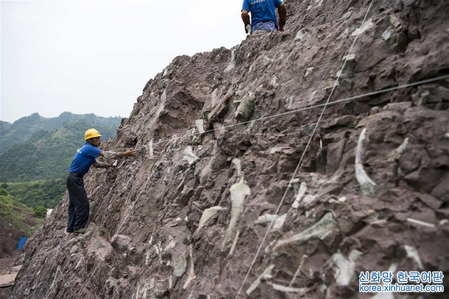 （科技）（3）重庆云阳发现世界级恐龙化石群