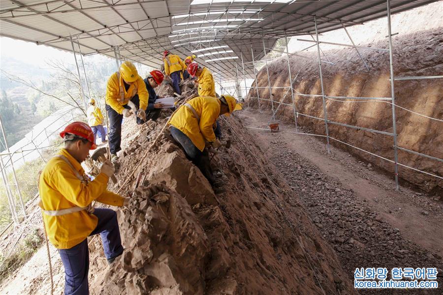 （科技）（6）重庆云阳发现世界级恐龙化石群