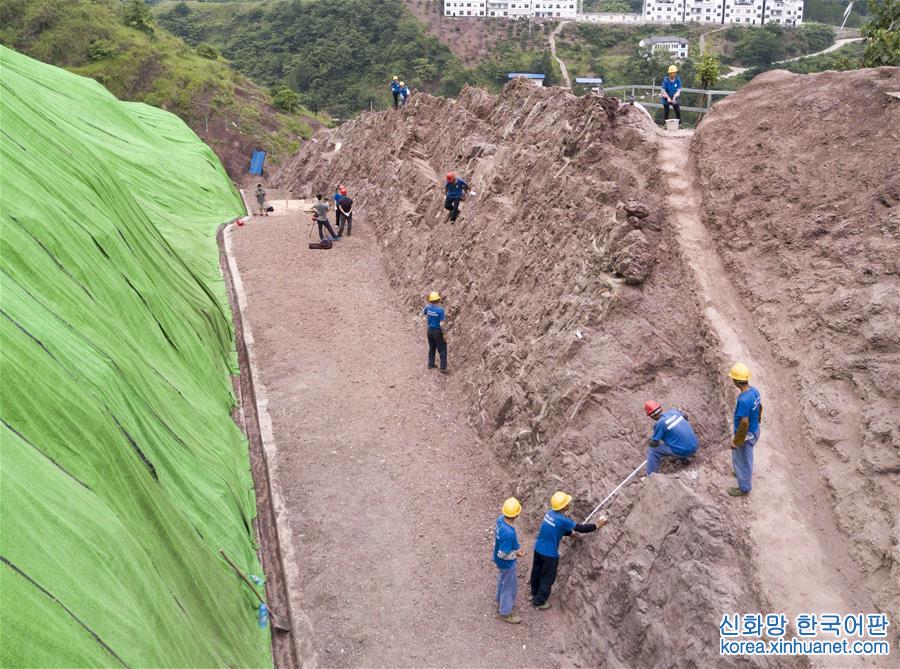 （科技）（7）重庆云阳发现世界级恐龙化石群
