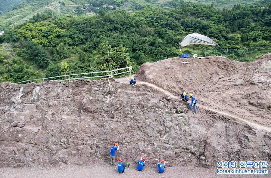 （新华视界）（1）重庆云阳发现世界级恐龙化石群