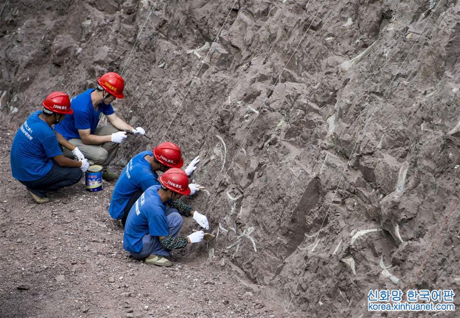 （新华视界）（3）重庆云阳发现世界级恐龙化石群