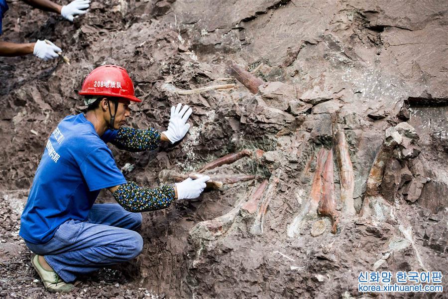 （新华视界）（4）重庆云阳发现世界级恐龙化石群