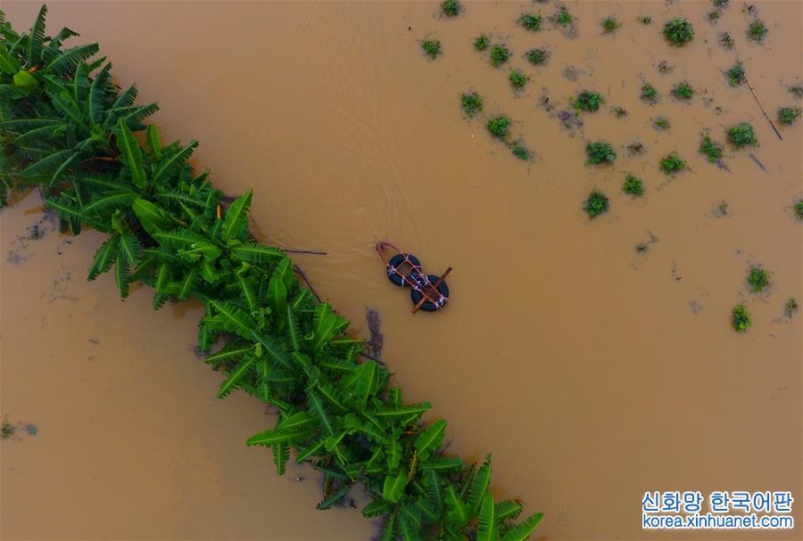 （抗洪救災）（1）強降雨致廣西約109萬人受災