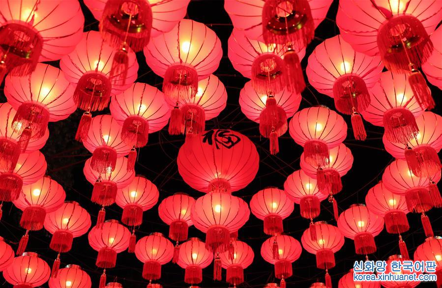 （新华网）（5）“感知中国·环球灯会——中华彩灯汉堡行”活动开幕