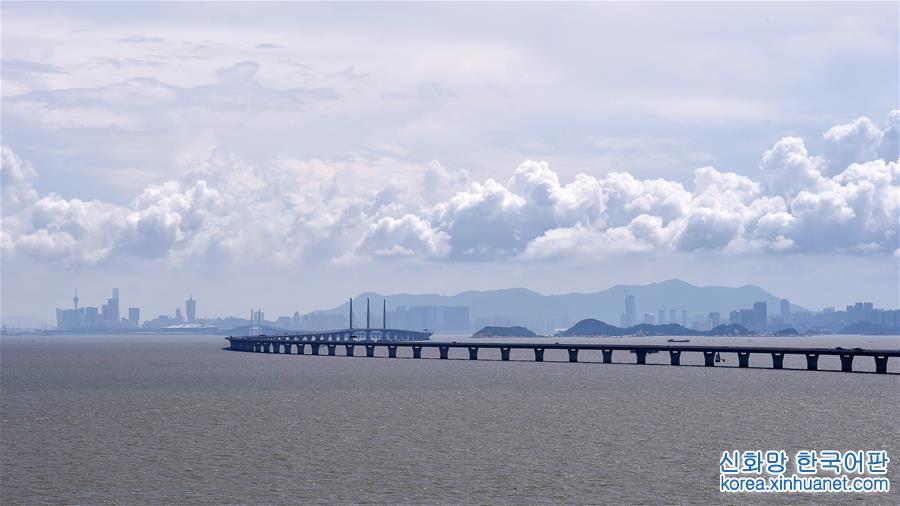 （新华全媒头条·图文互动）（3）“世纪工程”飞架粤港澳　“技术最复杂”大桥是如何建成的？
