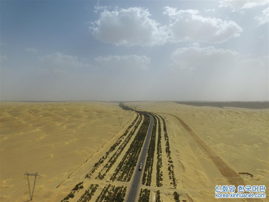 （环境）（1）茫茫大漠里的“绿色长城”