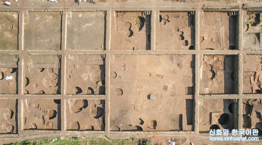 （文化）（5）河南新砦遗址出土3800年前彩绘陶鸟 或见证夏早期“东夷乱夏”