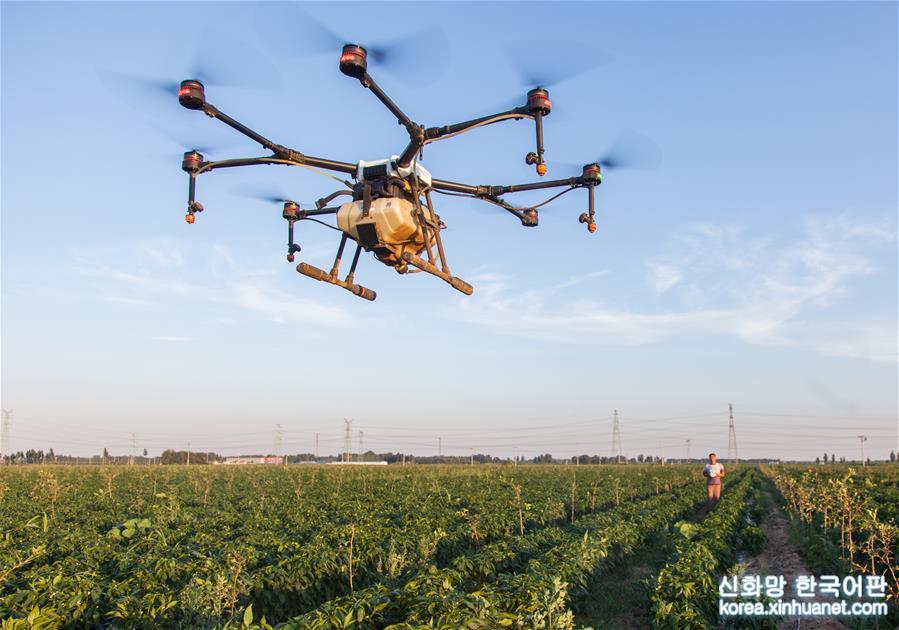 （经济）（1）无人机植保技术助力农业增效