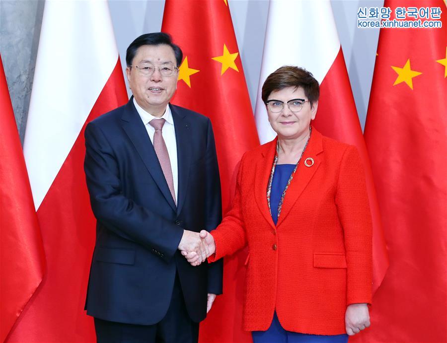 （时政）（2）张德江对波兰进行正式友好访问