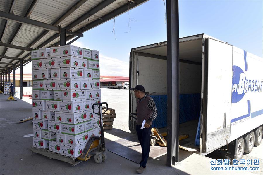 （砥礪奮進的五年）（4）新疆巴克圖口岸上半年出口果蔬近3萬噸