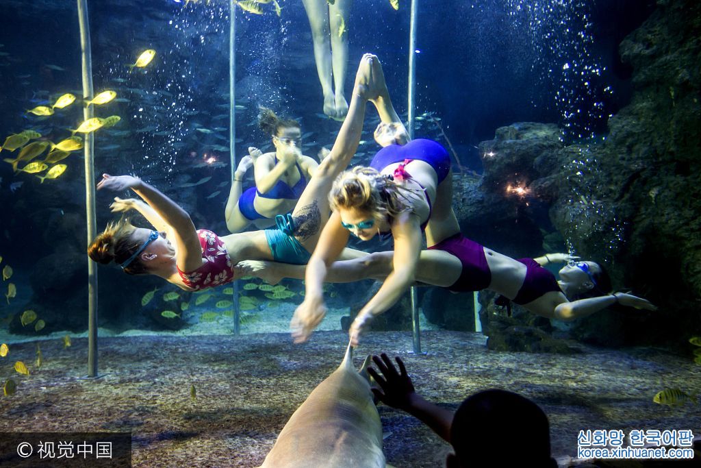 ***_***2017年07月14日，福州，俄羅斯姑娘在水中表演鋼管舞。