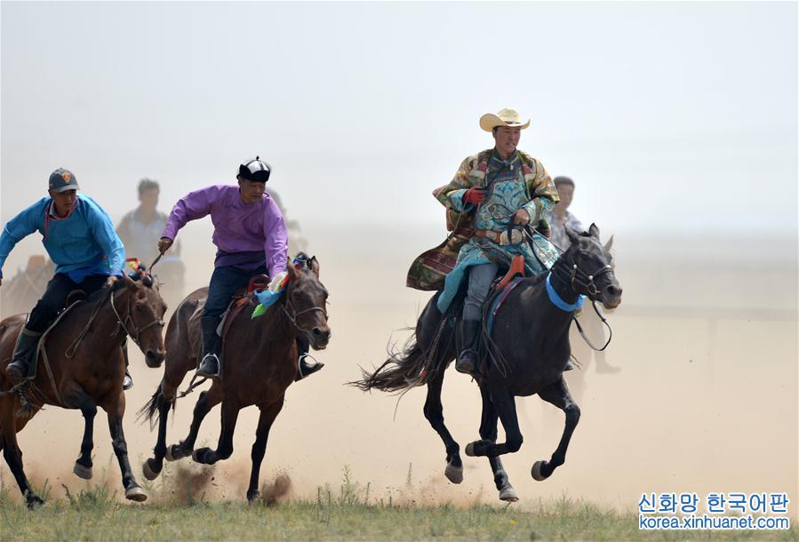 （守望相助70載·壯美亮麗內蒙古）（1）蒙古馬逐漸回歸中國蒙古族牧民生活