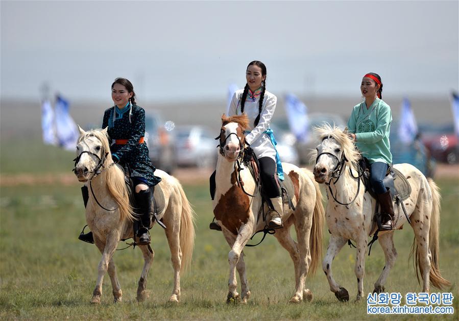 （守望相助70載·壯美亮麗內蒙古）（4）蒙古馬逐漸回歸中國蒙古族牧民生活