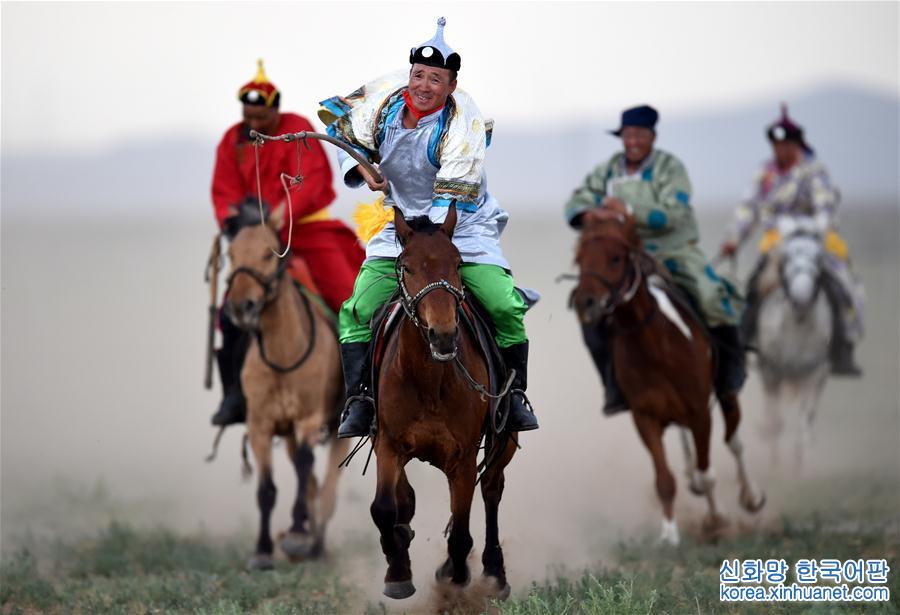 （守望相助70载·壮美亮丽内蒙古）（8）蒙古马逐渐回归中国蒙古族牧民生活
