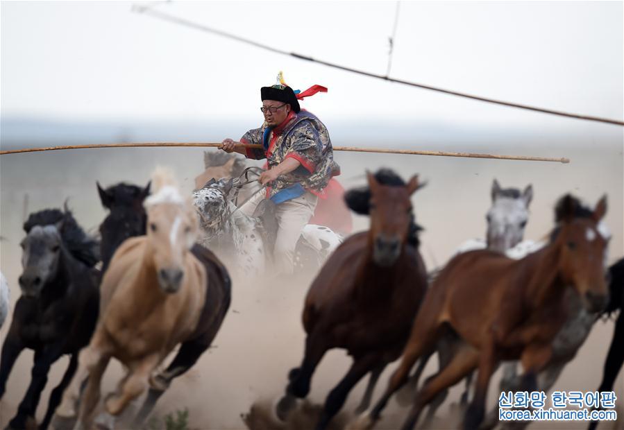 （守望相助70载·壮美亮丽内蒙古）（11）蒙古马逐渐回归中国蒙古族牧民生活