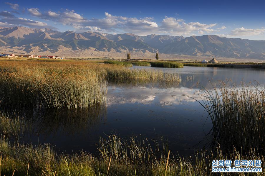 #（生态）（1）新疆哈密的高家湖湿地公园