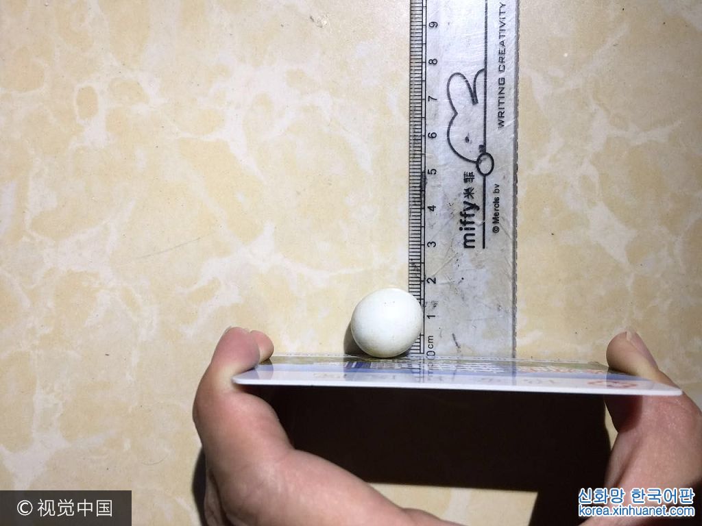 2017年7月24日，福建漳州诏安县的陈女士家的农场里，发现了一枚非常特别的鸡蛋，特别在，它“特别小”。***_***