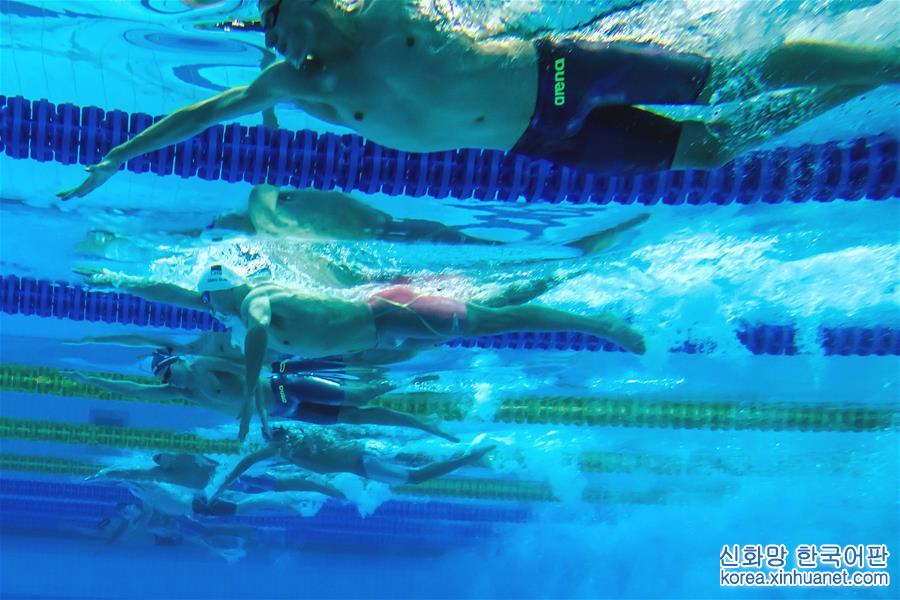 （游泳世錦賽）（9）游泳——孫楊獲男子800米自由泳第五名