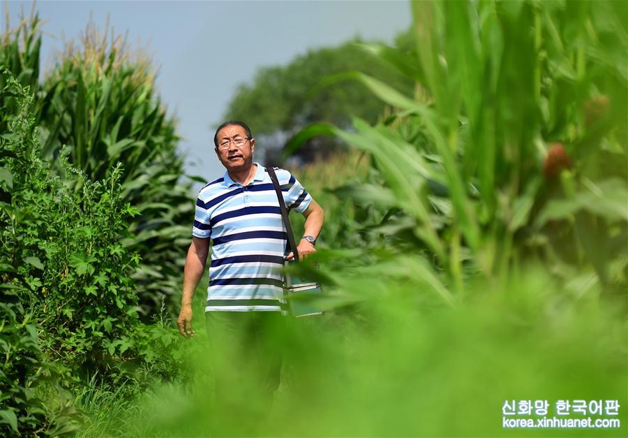 （图片故事）（1）乡村医生岳汝华：37年平凡坚守诠释“医者仁心”