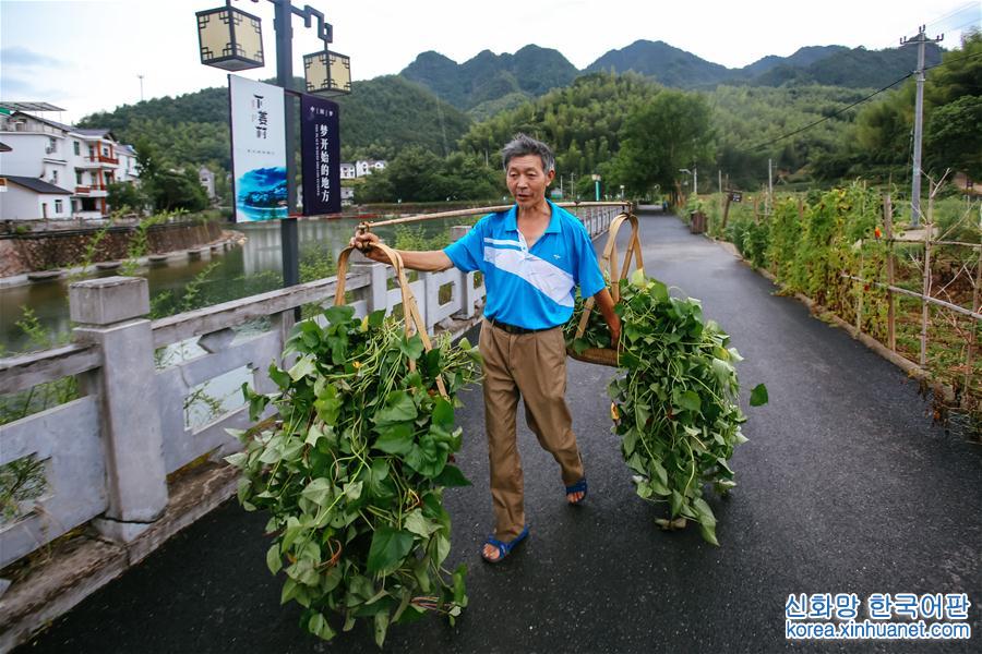 （砥砺奋进的五年·绿色发展 绿色生活）（10）从穷山沟到“绿富美”——浙江下姜村的绿色转变