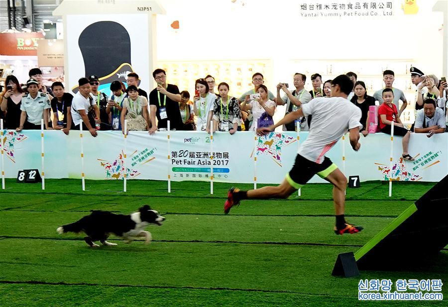 （社会）（4）第20届亚洲宠物展在上海开幕