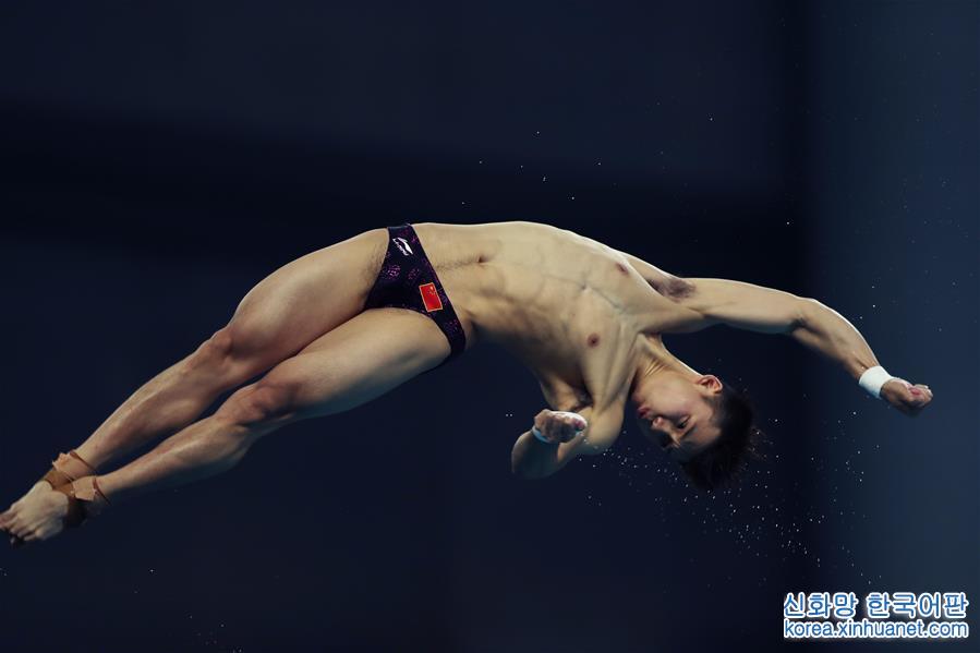 （全运会）（5）跳水——男子10米跳台：陈艾森夺冠