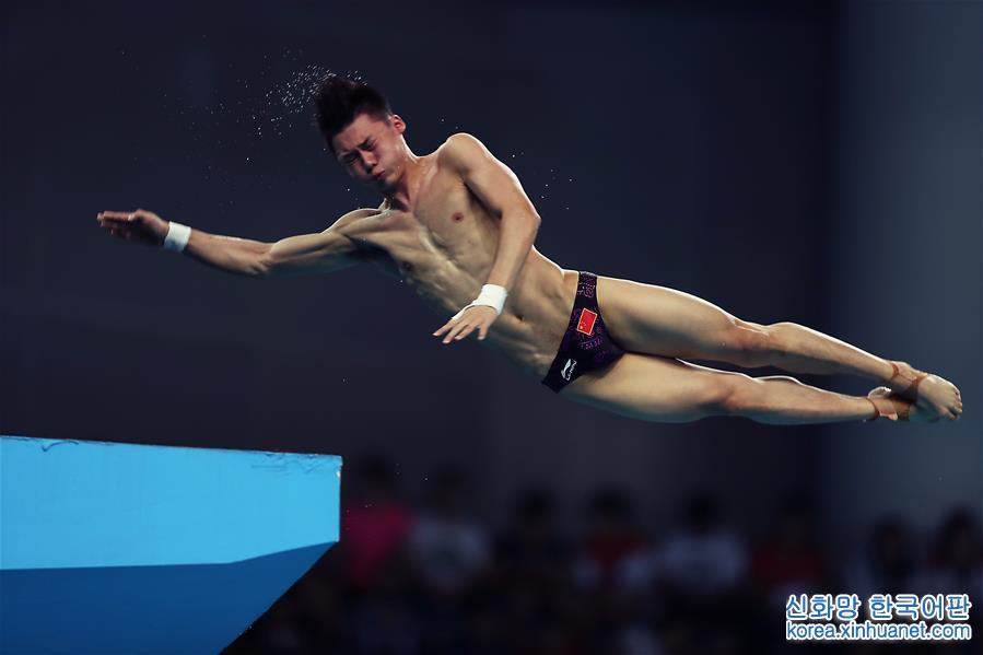 （全运会）（6）跳水——男子10米跳台：陈艾森夺冠