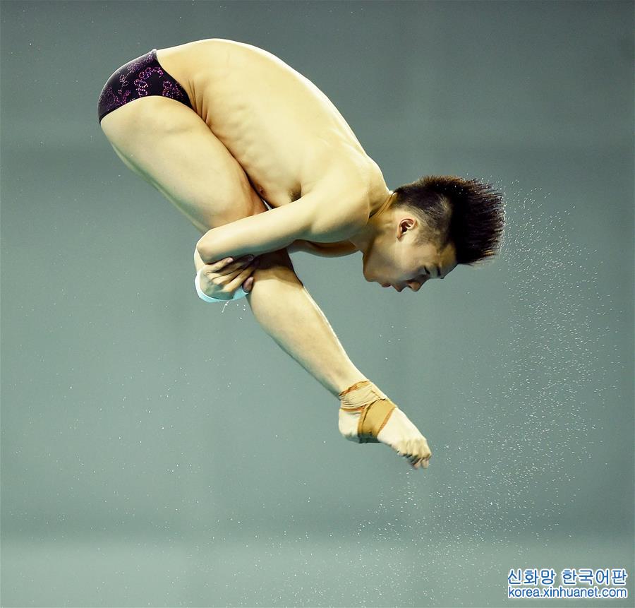 （全运会）（7）跳水——男子10米跳台：陈艾森夺冠