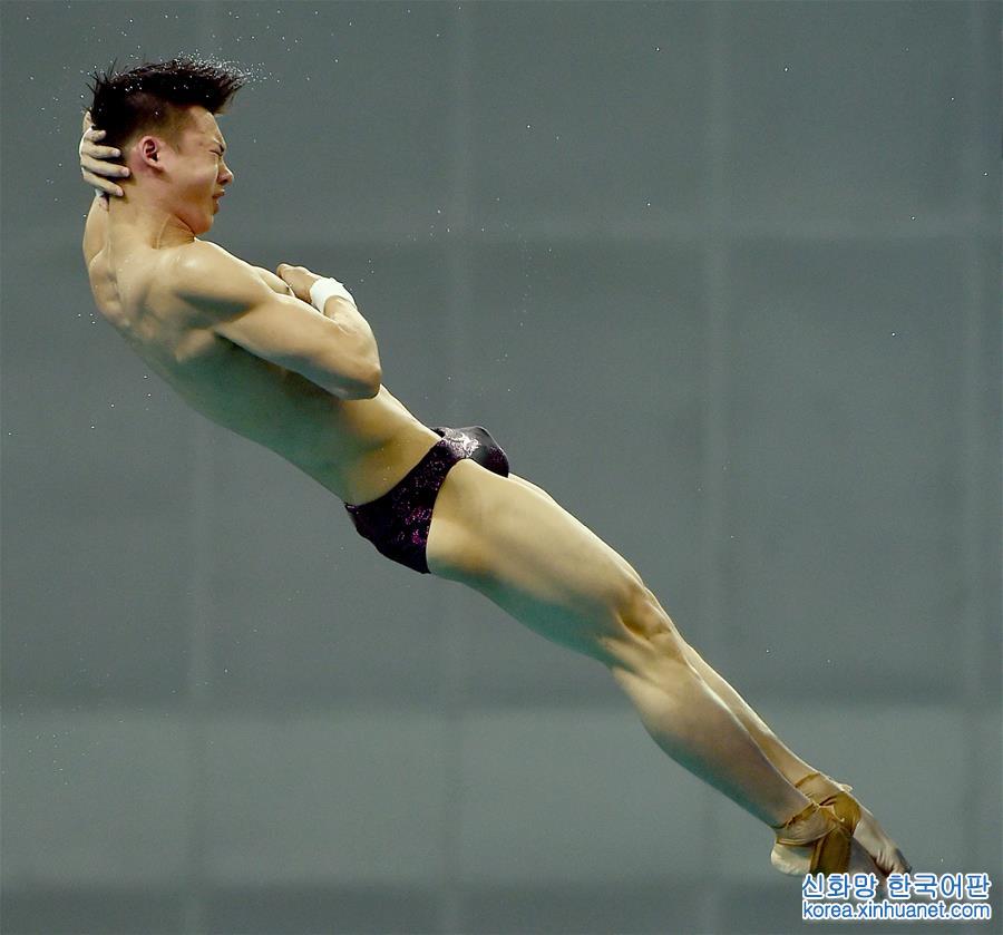 （全运会）（11）跳水——男子10米跳台：陈艾森夺冠