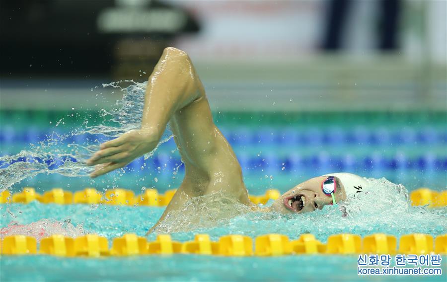 （全运会）（20）游泳——男子800米自由泳：孙杨夺冠