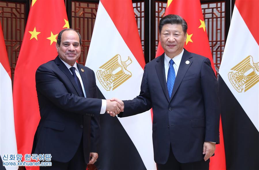 （厦门会晤）习近平会见埃及总统塞西