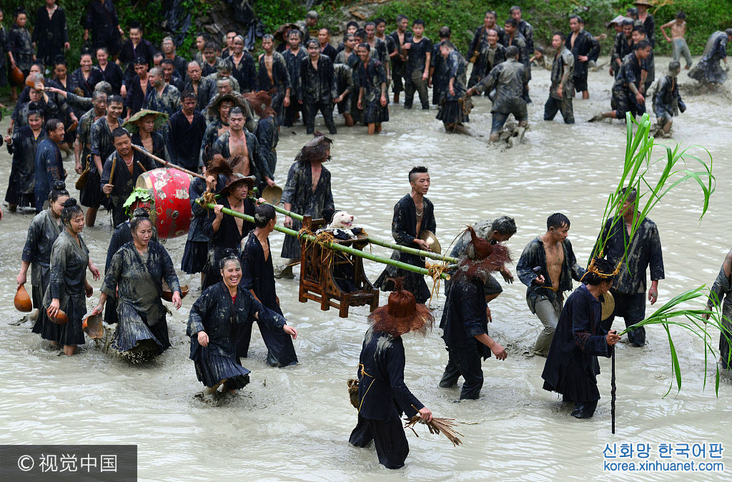 ***_***2017年9月2日，在贵州省剑河县革东镇交榜村，人们在水田中抬狗游行。