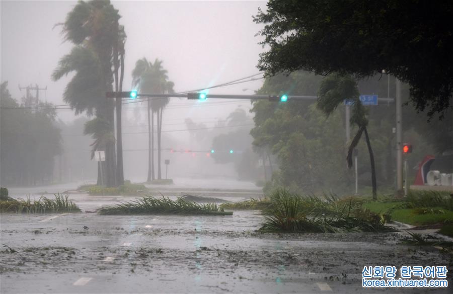 （新华视界）（3）飓风“艾尔玛”登陆美国佛罗里达