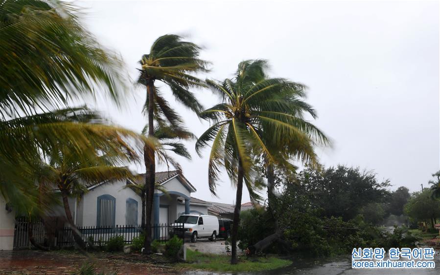 （新华视界）（2）飓风“艾尔玛”登陆美国佛罗里达