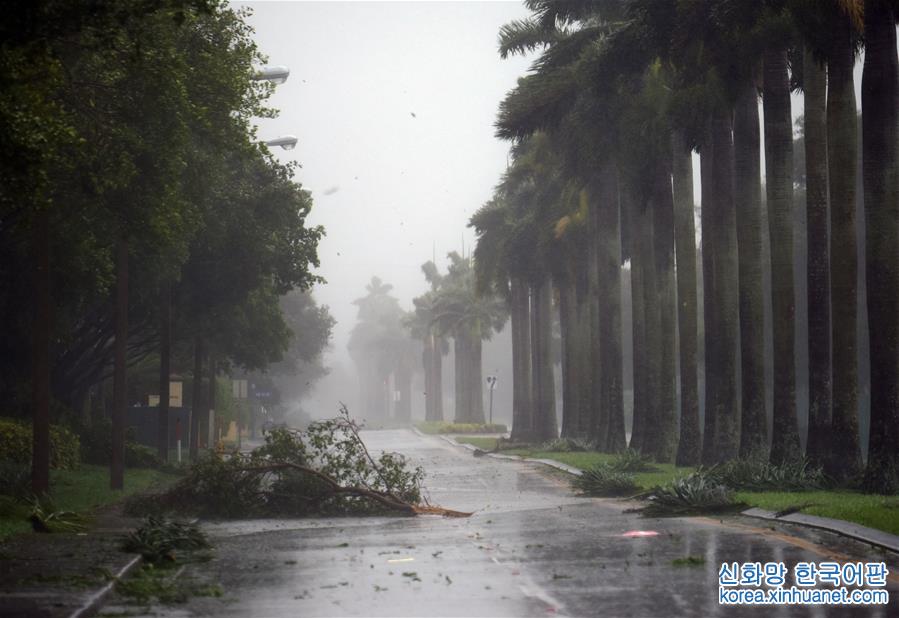（新华视界）（1）飓风“艾尔玛”登陆美国佛罗里达