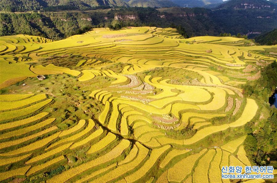 #（美丽中国）（4）丰收在望