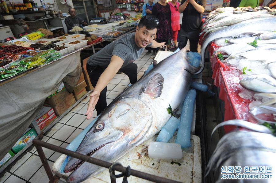 #（社会）（3）巨型鲅鱼鳗鱼亮相青岛水产市场