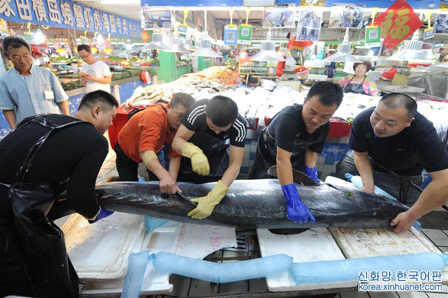 #（社会）（2）巨型鲅鱼鳗鱼亮相青岛水产市场