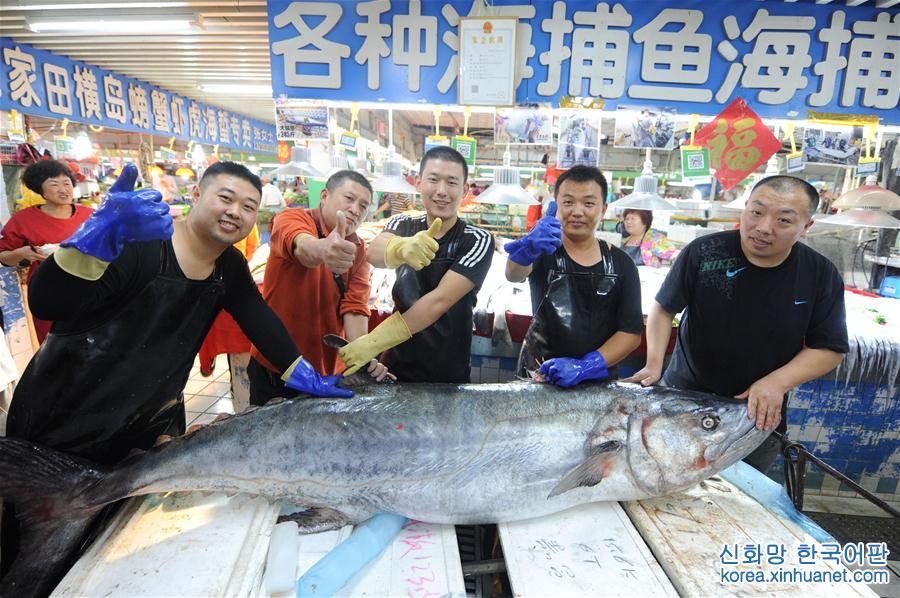 #（社会）（4）巨型鲅鱼鳗鱼亮相青岛水产市场