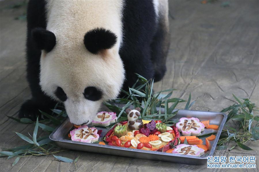 #（社会）（2）大熊猫吃月饼过中秋