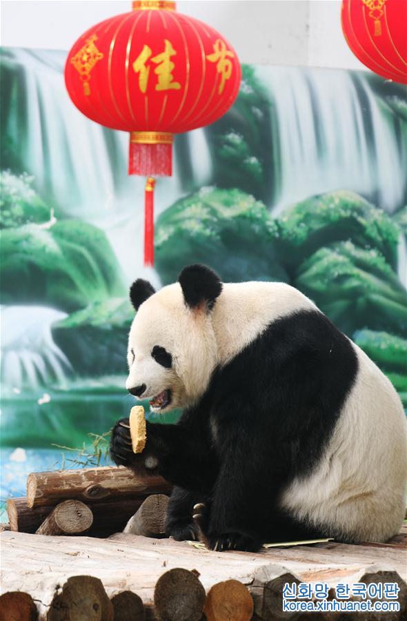 #（社会）（3）大熊猫吃月饼过中秋
