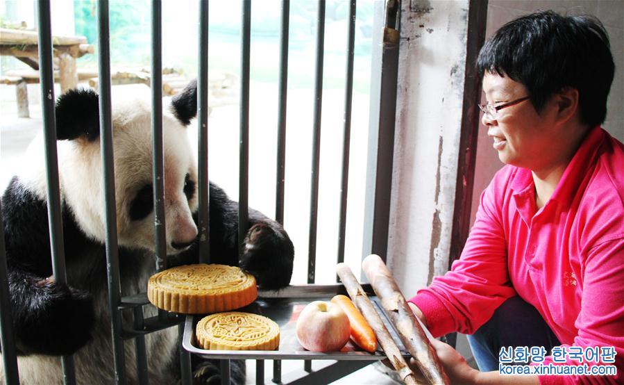 #（社会）（4）大熊猫吃月饼过中秋