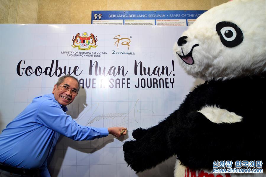 （新华视界）（5）出生在马来西亚的大熊猫“暖暖”将被送回中国