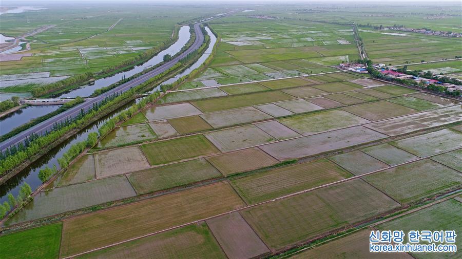 （社会）（5）宁夏引黄古灌区被列入世界灌溉工程遗产名录