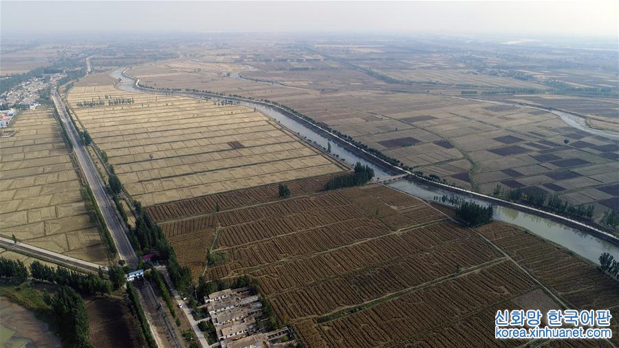 （社会）（4）宁夏引黄古灌区被列入世界灌溉工程遗产名录