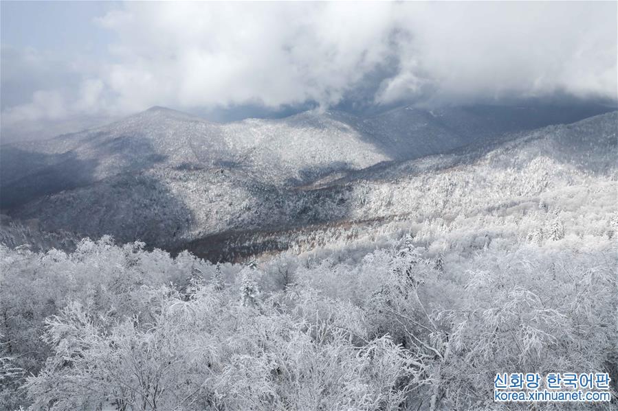 （美丽中国）（2）雪染层林
