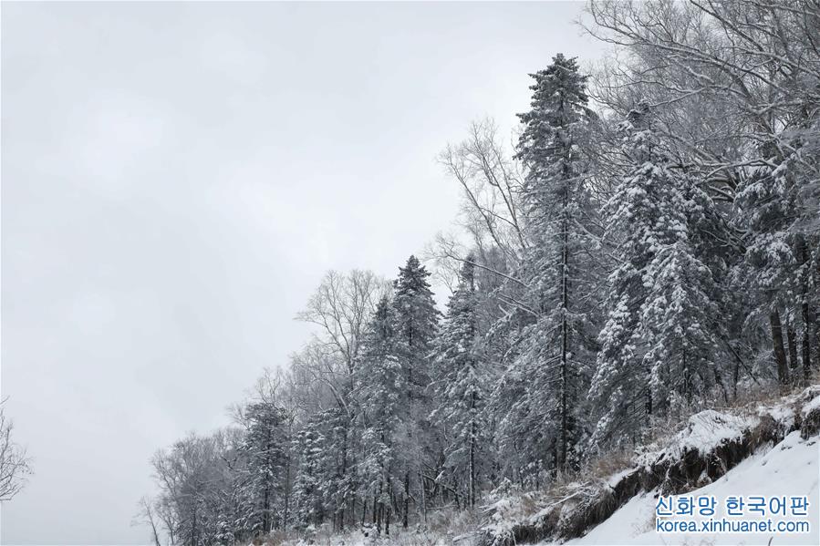 （美丽中国）（3）雪染层林