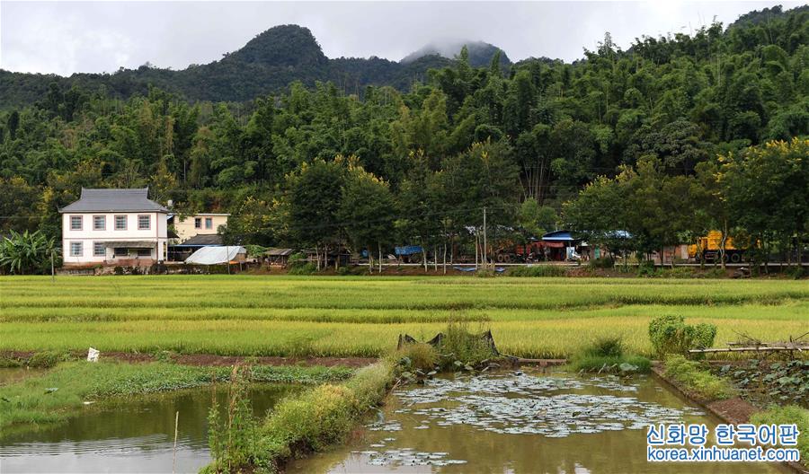 （砥砺奋进的五年）（2）云南普洱坚持“生态立市” 森林覆盖率升至68.8%