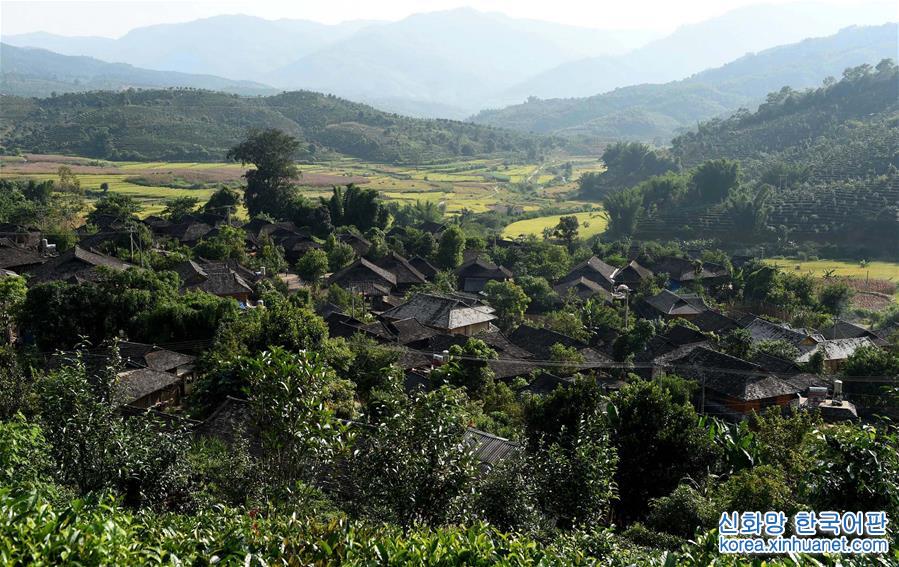 （砥砺奋进的五年）（4）云南普洱坚持“生态立市” 森林覆盖率升至68.8%